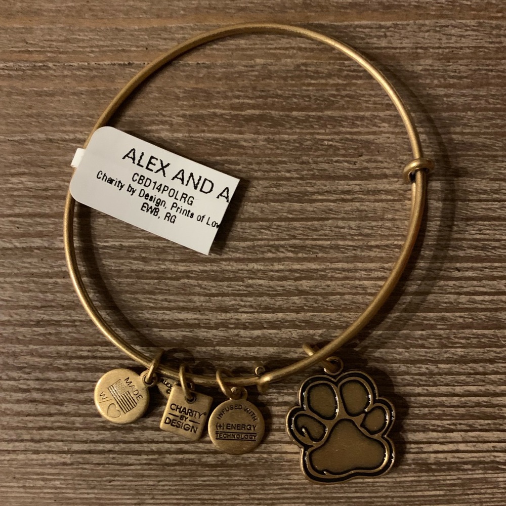 Alex and Ani Prints of Love charm bangle
